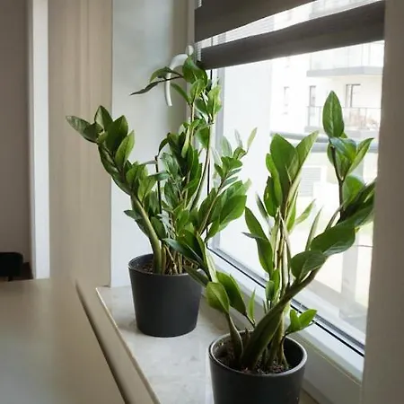 Apartament Zaspa 10 Min Od Plazy Apartment Danzig